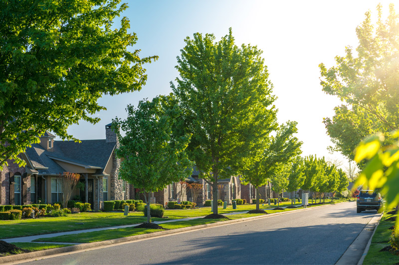 What You Need To Know About Property Lines In Miami